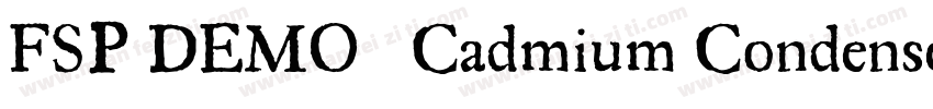 FSP DEMO   Cadmium Condensed Regula字体转换